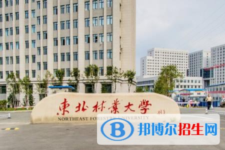 東北林業(yè)大學(xué)學(xué)校代碼是10225(學(xué)校代碼)
