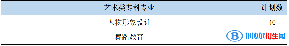 山東女子學(xué)院藝術(shù)類專業(yè)有哪些？