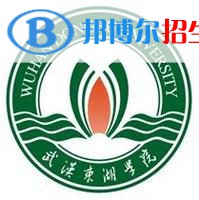 武漢東湖學(xué)院藝術(shù)類專業(yè)有哪些？（藝術(shù)類專業(yè)）