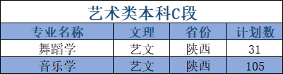 延安大學(xué)藝術(shù)類專業(yè)有哪些？