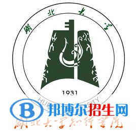 湖北大學(xué)知行學(xué)院藝術(shù)類(lèi)專(zhuān)業(yè)有哪些？（藝術(shù)類(lèi)專(zhuān)業(yè)）