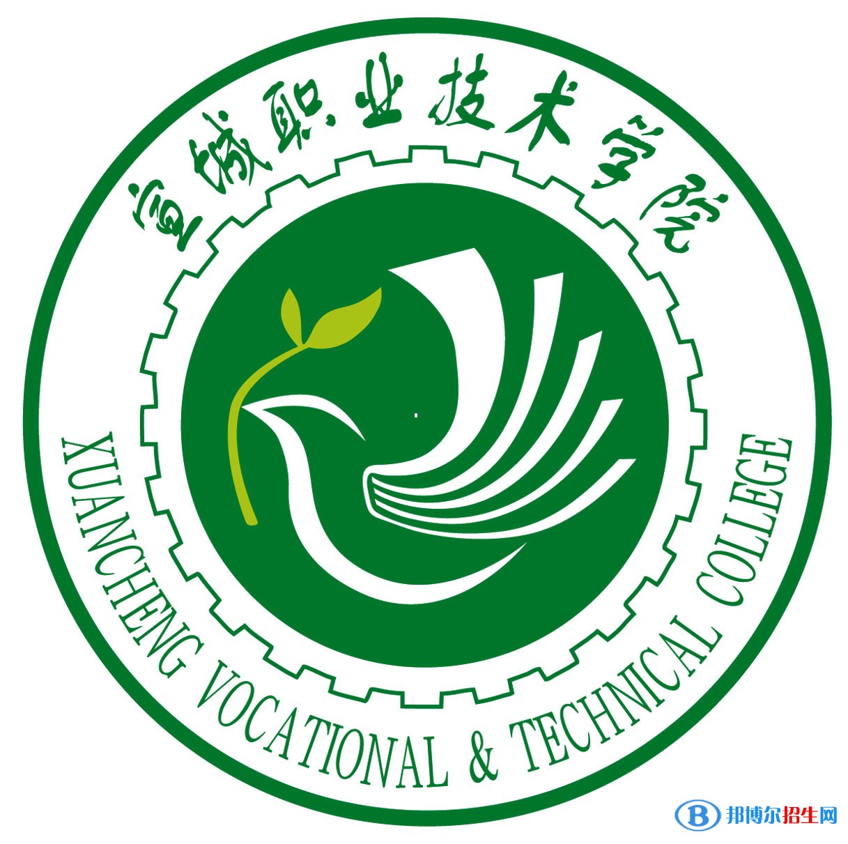 宣城職業(yè)技術學院藝術類專業(yè)有哪些？