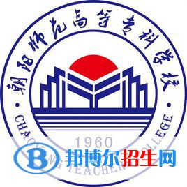 朝陽師范高等專科學(xué)校藝術(shù)類專業(yè)有哪些？（藝術(shù)類專業(yè)）