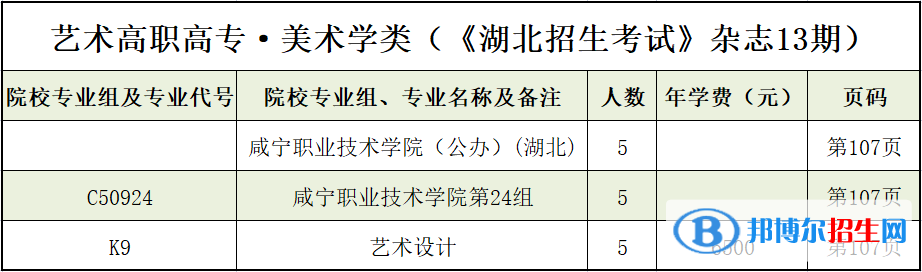 咸寧職業(yè)技術(shù)學(xué)院藝術(shù)類專業(yè)有哪些？