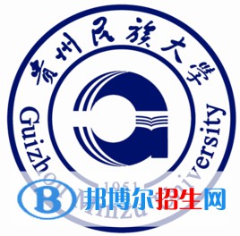 貴州民族大學(xué)藝術(shù)類專業(yè)有哪些？