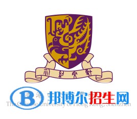 香港中文大學(xué)（深圳）藝術(shù)類專業(yè)有哪些？
