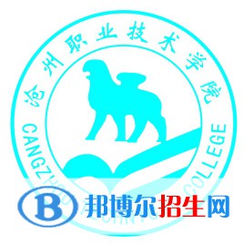 滄州職業(yè)技術(shù)學(xué)院有哪些專業(yè)？