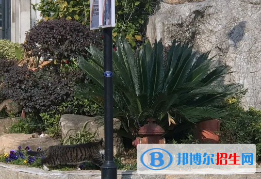 南京寧海中學(xué)2023年學(xué)費、收費多少 