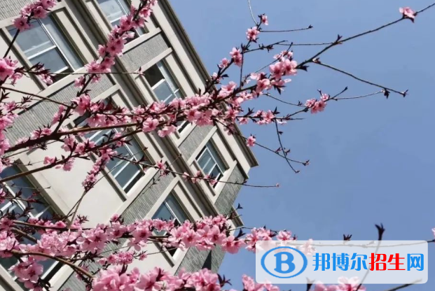 南京寧海中學(xué)2023年報(bào)名條件、招生要求、招生對(duì)象 