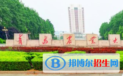 歷年青島農(nóng)業(yè)大學(xué)2022全國(guó)排名榜(軟科+校友會(huì)）-2023參考