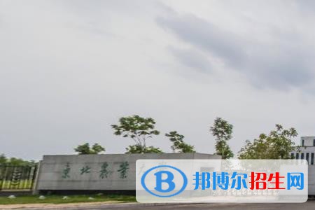 歷年東北農(nóng)業(yè)大學(xué)2022全國排名榜(軟科+校友會）-2023參考