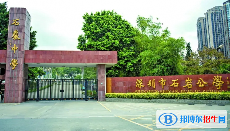 深圳石巖公學(xué)學(xué)校國(guó)際部小學(xué)2023年入學(xué)考試2