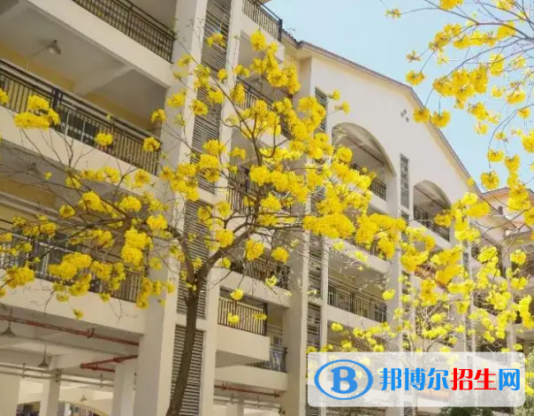 深圳奧斯翰外語學校初中部怎么樣2