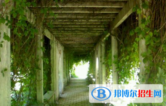 長春第十中學2023年招生代碼 