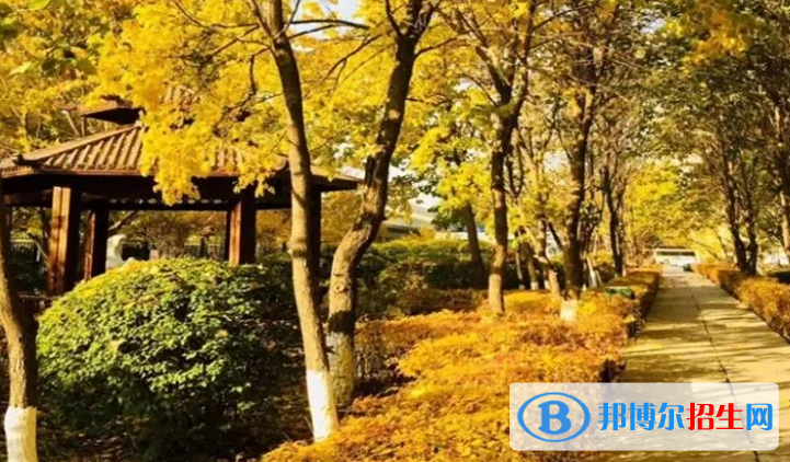長春希望高中2023年排名 