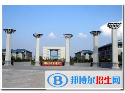 2022 湖北中醫(yī)藥大學(xué)全國(guó)排名（湖北中醫(yī)藥大學(xué)歷年全國(guó)排名）-2023年參考