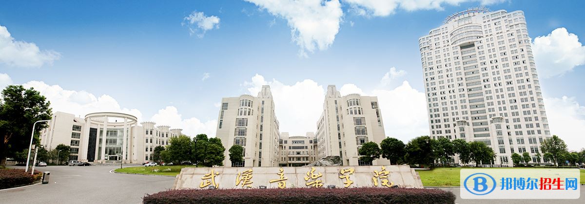 2022 武漢音樂學(xué)院全國(guó)排名（武漢音樂學(xué)院歷年全國(guó)排名）-2023年參考