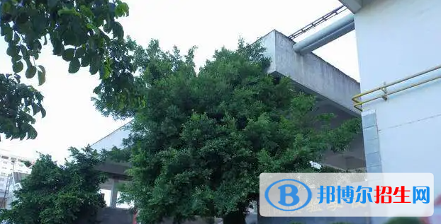 2023年汕頭好的高中學校有哪些，汕頭重點高中排行榜