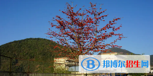 攀枝花高中學(xué)校升學(xué)排行2022（附高考成績）-2023參考