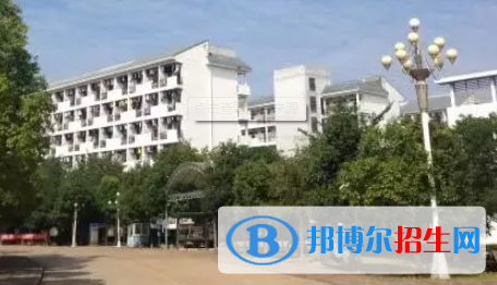 廣西2023年計算機學(xué)校里面有什么專業(yè)