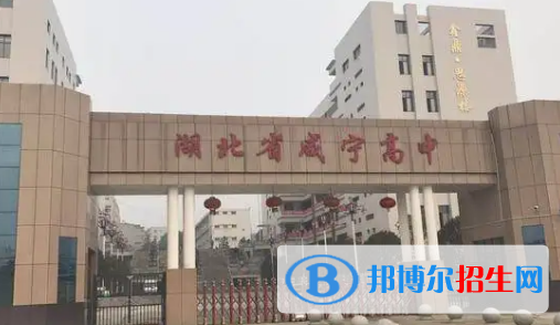 咸寧高中學校升學排行2022（附高考成績）-2023參考
