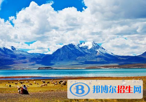 西藏中考語(yǔ)文總分(滿分)是多少