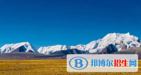 阿里地區(qū)中考語(yǔ)文總分（滿(mǎn)分）是多少
