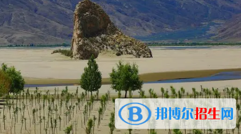 山南地區(qū)中考物理總分(滿分)是多少(附山南物理中考成績查詢?nèi)肟冢? width=