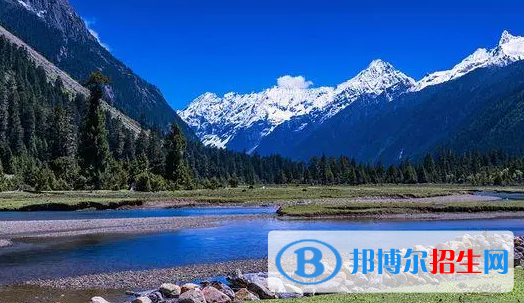 林芝中考物理總分(滿分）是多少（附林芝物理中考成績(jī)查詢?nèi)肟冢? width=