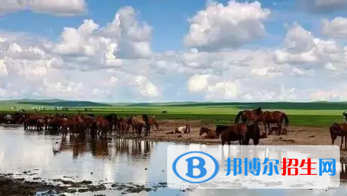 錫林郭勒中考生物總分(滿分)是多少(附錫林郭勒中考成績查詢?nèi)肟冢? width=