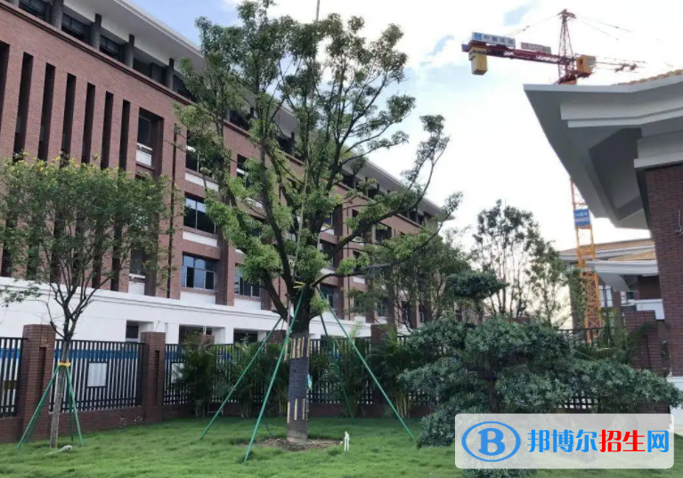 廣雅中學(xué)博雅國(guó)際班2023年錄取分?jǐn)?shù)線2