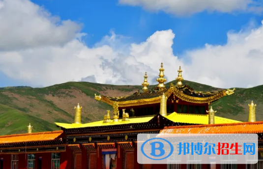 果洛州中考生物總分(滿分）是多少（附果洛州中考成績查詢入口）