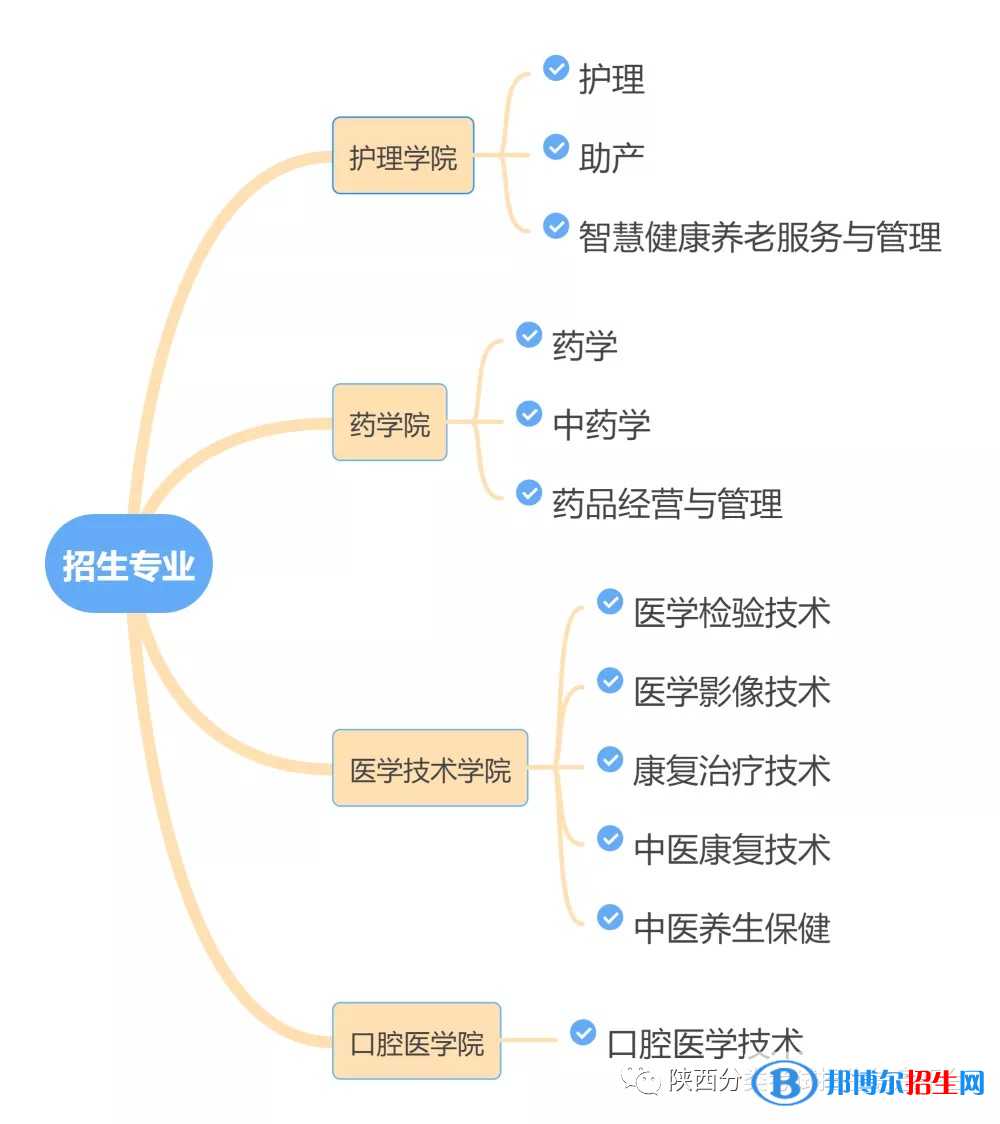 西安醫(yī)學(xué)高等專(zhuān)科學(xué)校2022分類(lèi)考試招生專(zhuān)業(yè)有哪些？