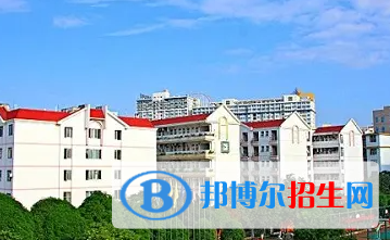 廣西2023年計(jì)算機(jī)學(xué)校里面都有哪些專業(yè)