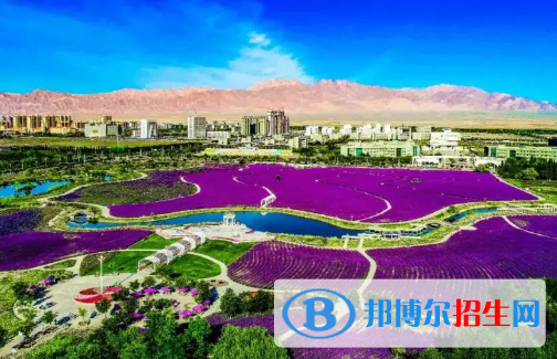 金昌中考物理總分(滿分）是多少（附金昌市考成績查詢?nèi)肟冢? width=