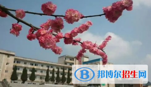 遵義中考數(shù)學(xué)總分(滿分）是多少（附遵義中考成績(jī)查詢?nèi)肟冢? width=