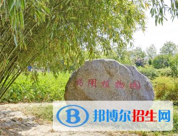 河南2023年衛(wèi)校中哪個(gè)好