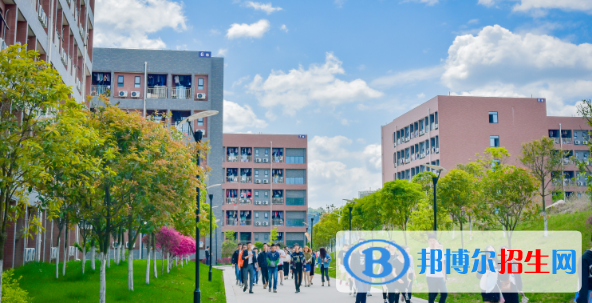 四川2023年計(jì)算機(jī)學(xué)校哪的好
