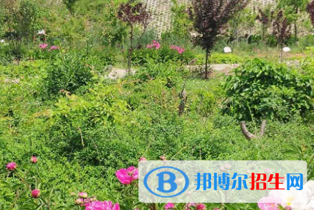 河南2023年讀衛(wèi)校好還是中專學(xué)校好