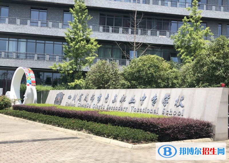 四川2023年學(xué)什么計算機學(xué)校好