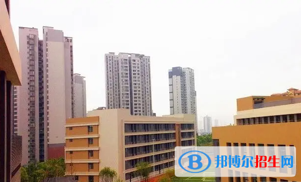 重慶史迪威外語(yǔ)學(xué)校初中部2023年招生政策