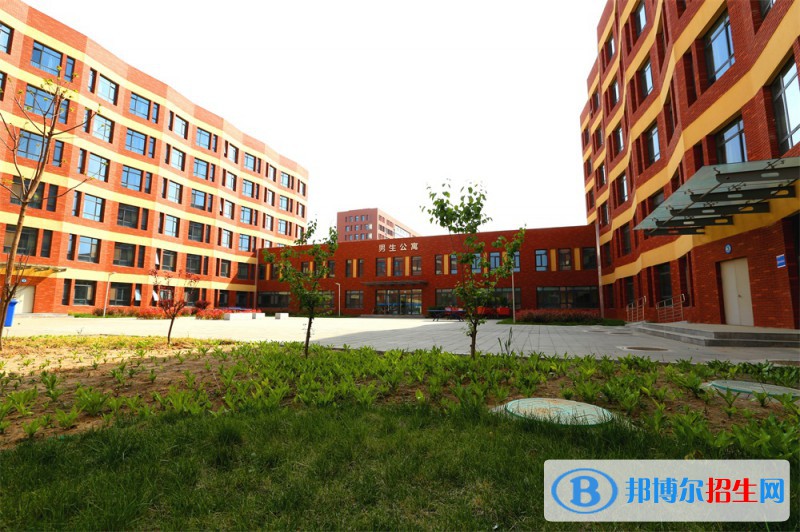 石家莊2023年計算機學校是干什么的