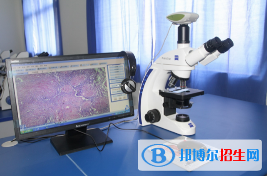 陜西2023年中專學(xué)校什么專業(yè)比較好