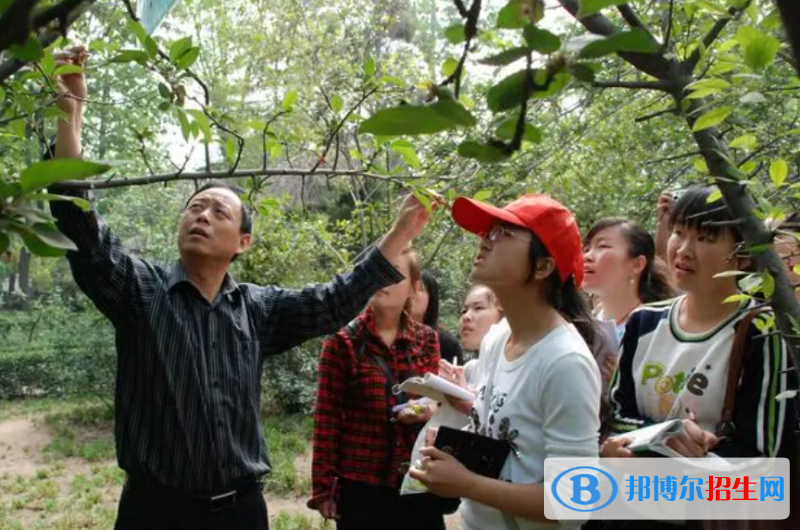大學(xué)作物生產(chǎn)技術(shù)專業(yè)可以從事哪些工作？