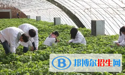 大學(xué)農(nóng)業(yè)資源與環(huán)境專業(yè)可以從事哪些工作？