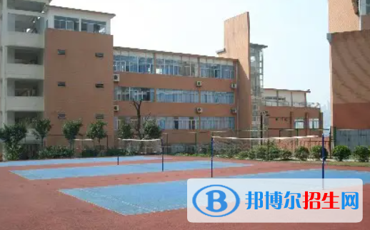 重慶一共有多少高中學校