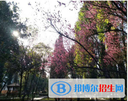 貴州2023年女生上鐵路學校學什么專業(yè)好