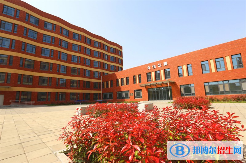 石家莊2023年讀計算機學(xué)校可以考大學(xué)嗎