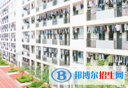 廣西2023年計(jì)算機(jī)學(xué)校都能學(xué)什么