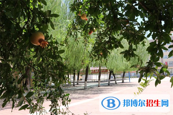 陜西2023年職高和中專學(xué)校哪個好